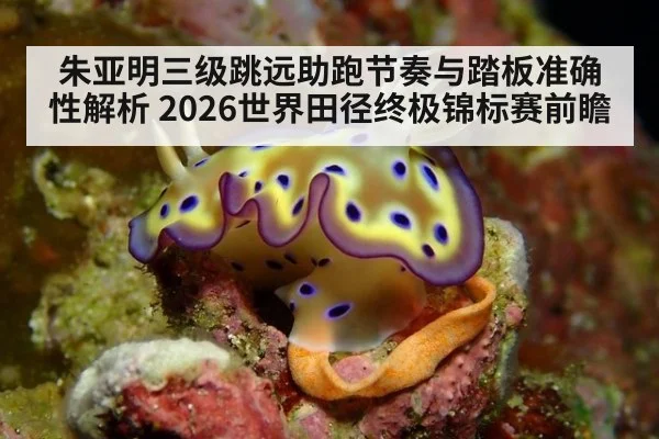 朱亚明三级跳远助跑节奏与踏板准确性解析 2026世界田径终极锦标赛前瞻
